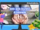 Jenis Asuransi di Indonesia