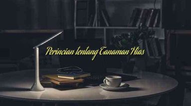 Perincian tentang Tanaman Hias