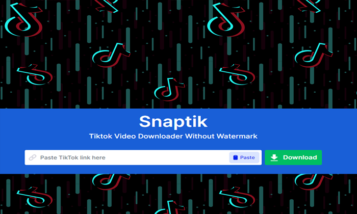 snaptik