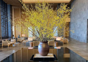 hotel aman tokyo