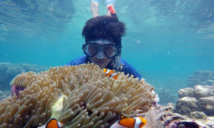 pulau pahawang dengan keindahan terumbu karang