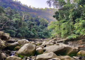 Sumber Daya Alam Nasional